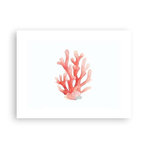 Plagát - Koralový koral - 40x30 cm