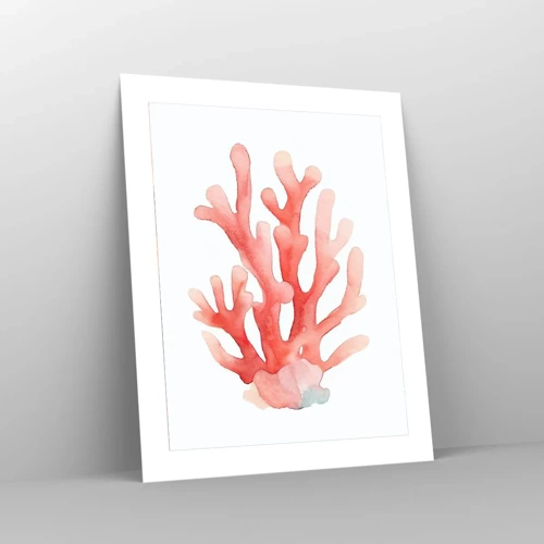 Plagát - Koralový koral - 40x50 cm