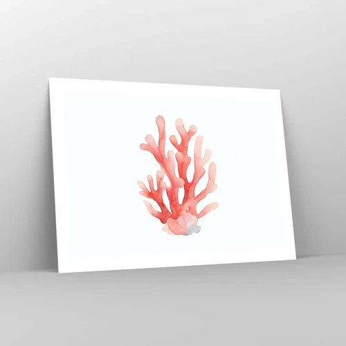 Plagát - Koralový koral - 70x50 cm
