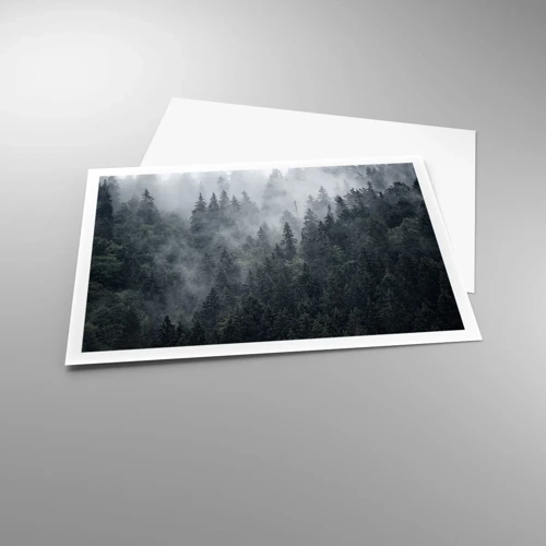 Plagát - Lesné svitania - 100x70 cm