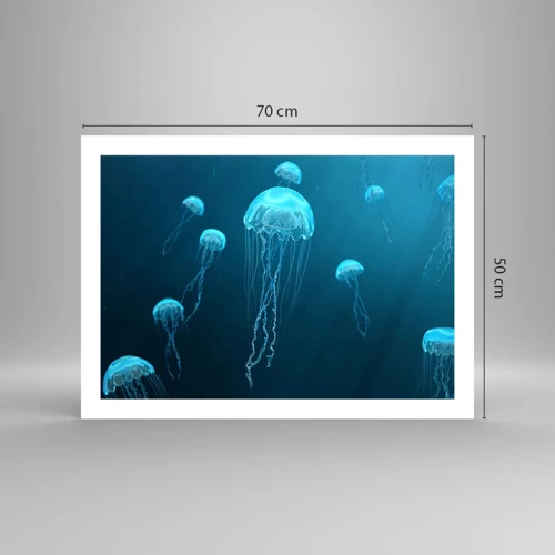Plagát - Oceánsky tanec - 70x50 cm