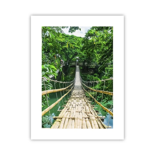Plagát - Opičí most nad zeleňou - 30x40 cm