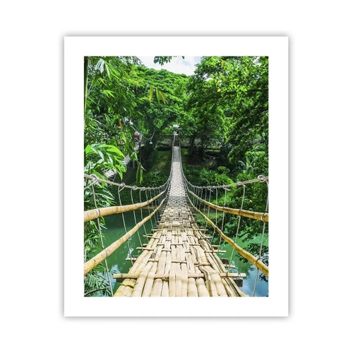 Plagát - Opičí most nad zeleňou - 40x50 cm
