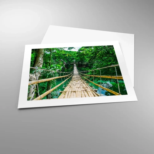 Plagát - Opičí most nad zeleňou - 50x40 cm