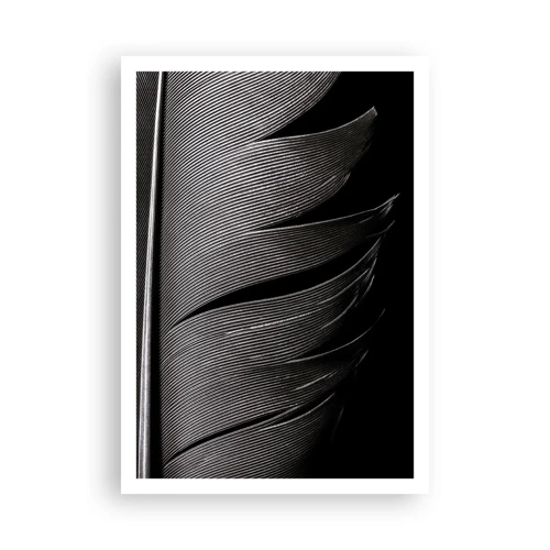 Plagát - Perie – nádherná konštrukcia - 70x100 cm