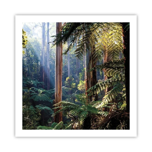 Plagát - Poviedka lesa - 60x60 cm