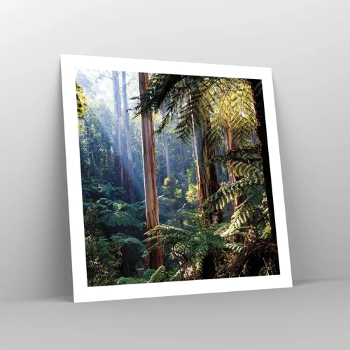 Plagát - Poviedka lesa - 60x60 cm