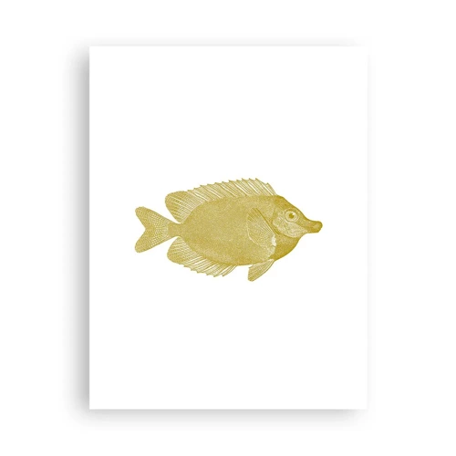 Plagát - Proste ryba - 30x40 cm