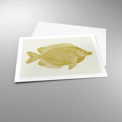 Plagát - Proste ryba - 70x50 cm
