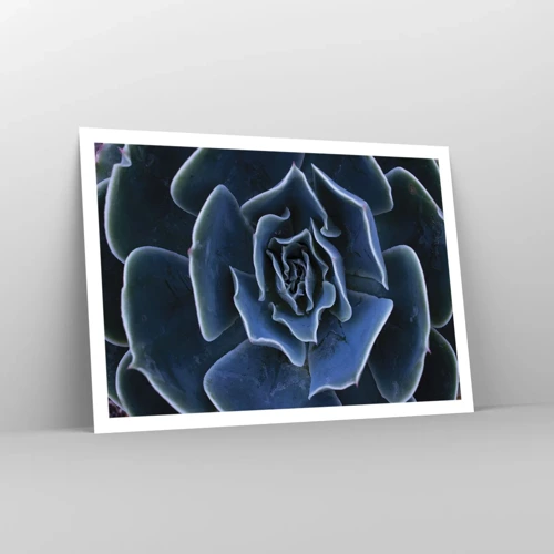 Plagát - Púštny kvet - 100x70 cm