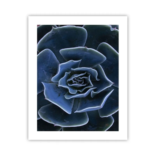 Plagát - Púštny kvet - 40x50 cm