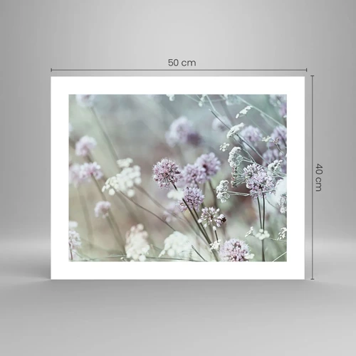 Plagát - Sladké filigrány byliniek - 50x40 cm