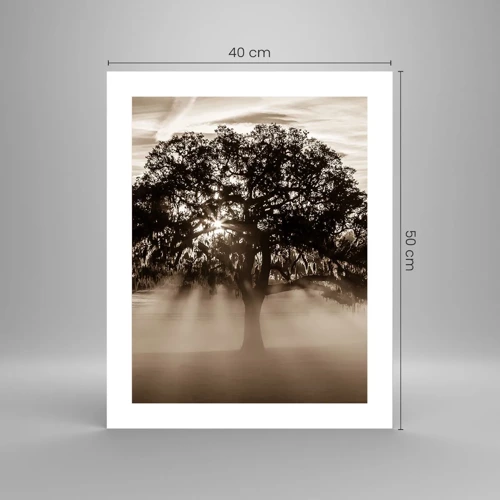 Plagát - Strom správ samotného dobra - 40x50 cm