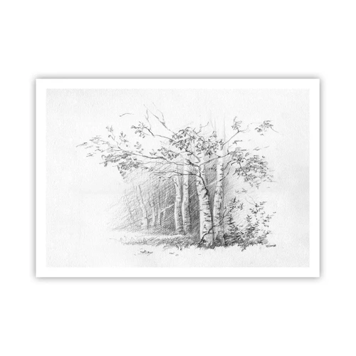 Plagát - Svetlo brezového lesa - 100x70 cm