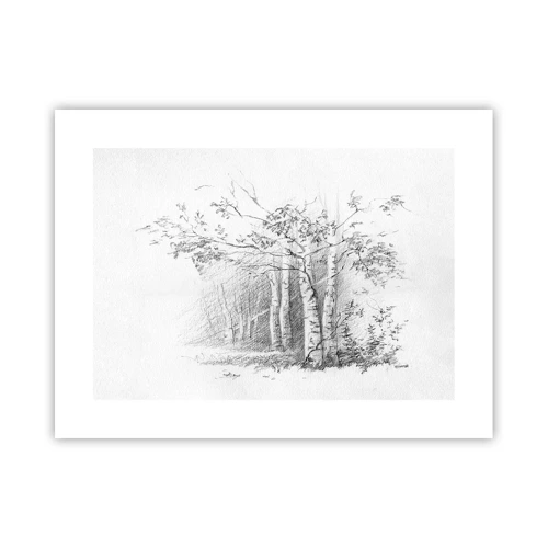Plagát - Svetlo brezového lesa - 40x30 cm