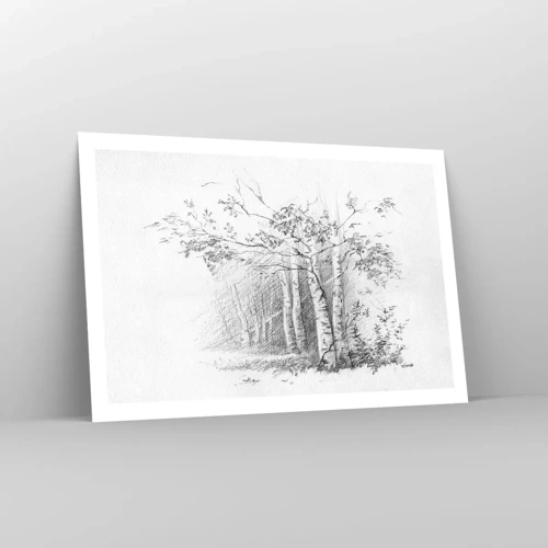Plagát - Svetlo brezového lesa - 91x61 cm