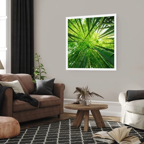 Plagát - V bambusovom háji - 50x50 cm