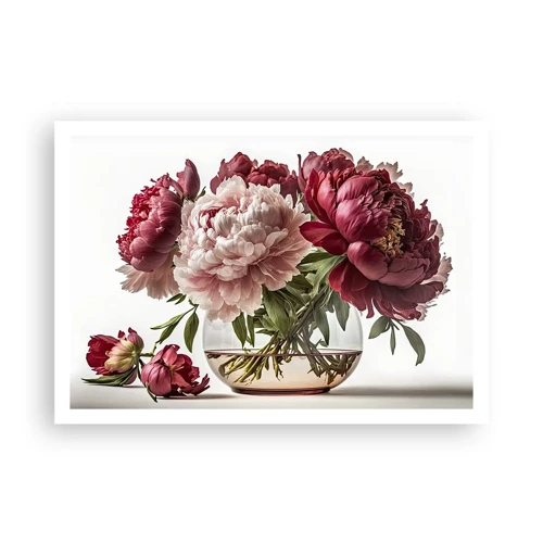Plagát - V plnom rozkvete krásy - 100x70 cm