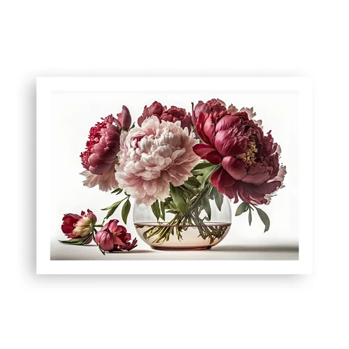 Plagát - V plnom rozkvete krásy - 70x50 cm