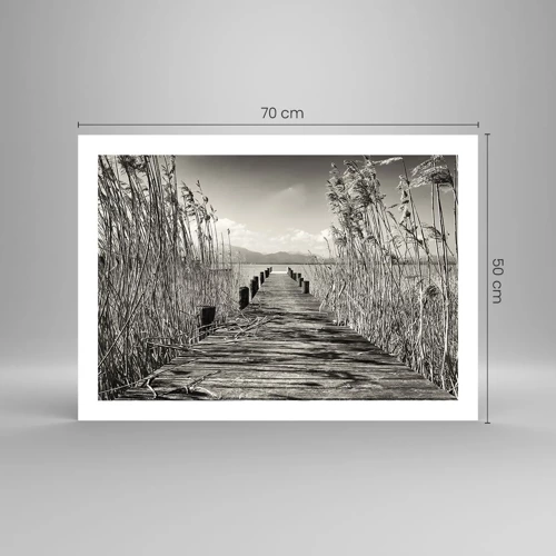 Plagát - V ústraní tráv - 70x50 cm