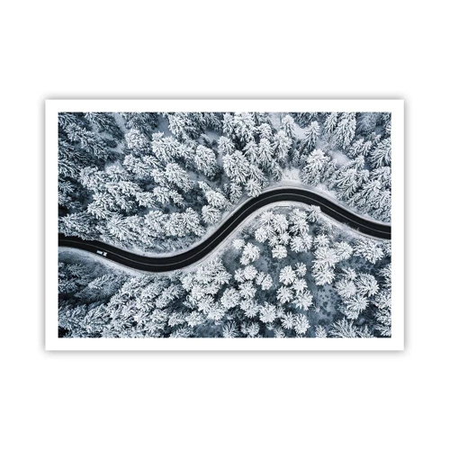 Plagát - Zimným lesom - 100x70 cm