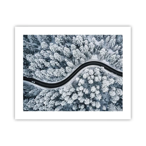 Plagát - Zimným lesom - 50x40 cm
