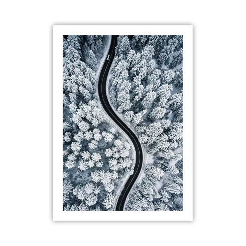 Plagát - Zimným lesom - 50x70 cm
