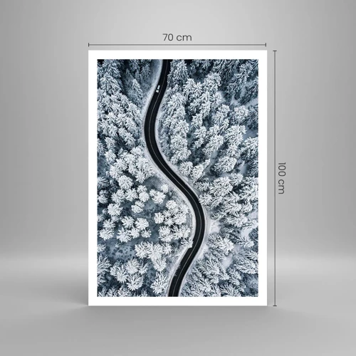 Plagát - Zimným lesom - 70x100 cm