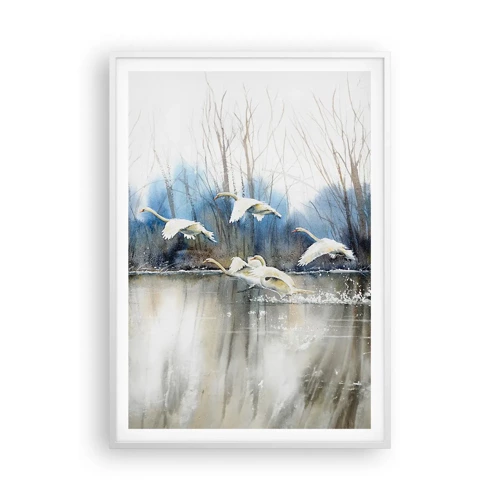 Plagát v bielom ráme - Ako v poviedke o divokých labutiach - 70x100 cm