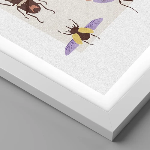 Plagát v bielom ráme - Hmyzí svet - 61x91 cm