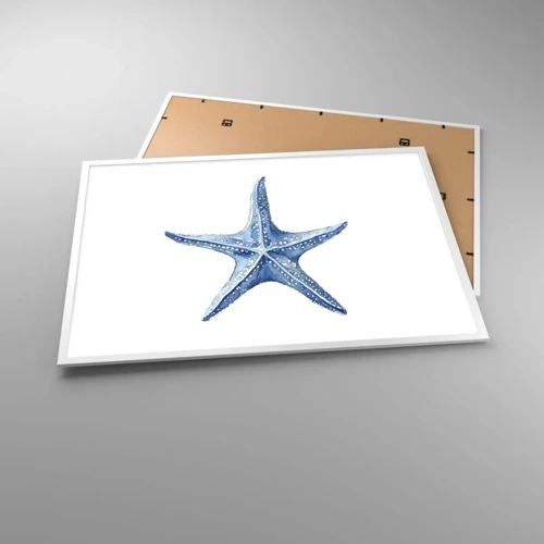 Plagát v bielom ráme - Hviezda mora - 100x70 cm