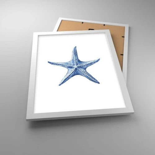 Plagát v bielom ráme - Hviezda mora - 30x40 cm