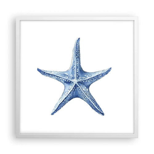 Plagát v bielom ráme - Hviezda mora - 50x50 cm
