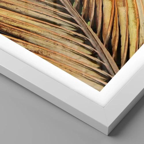 Plagát v bielom ráme - Kokosové zlato - 30x40 cm