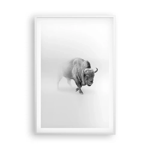 Plagát v bielom ráme - Kráľ prérie - 61x91 cm