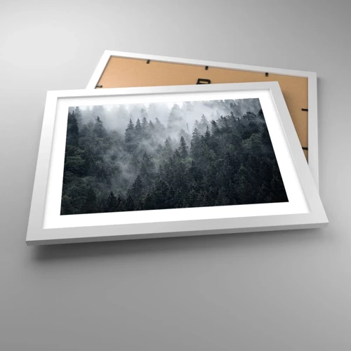 Plagát v bielom ráme - Lesné svitania - 40x30 cm