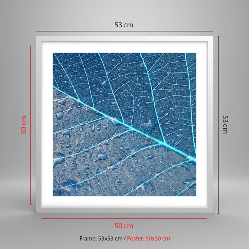 Plagát v bielom ráme - Modrý život - 50x50 cm