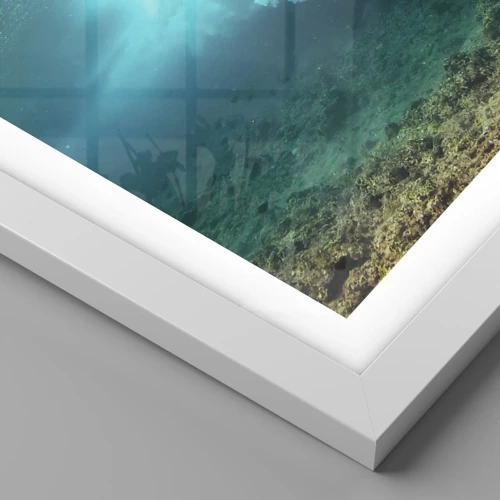 Plagát v bielom ráme - Podmorský svet - 70x50 cm