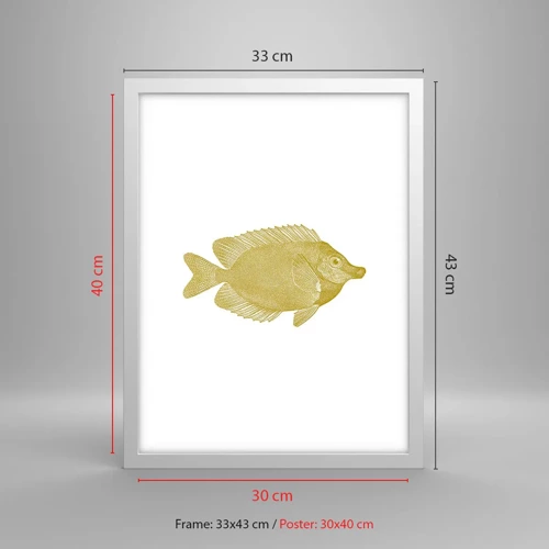 Plagát v bielom ráme - Proste ryba - 30x40 cm