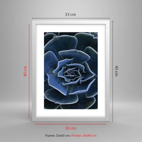 Plagát v bielom ráme - Púštny kvet - 30x40 cm