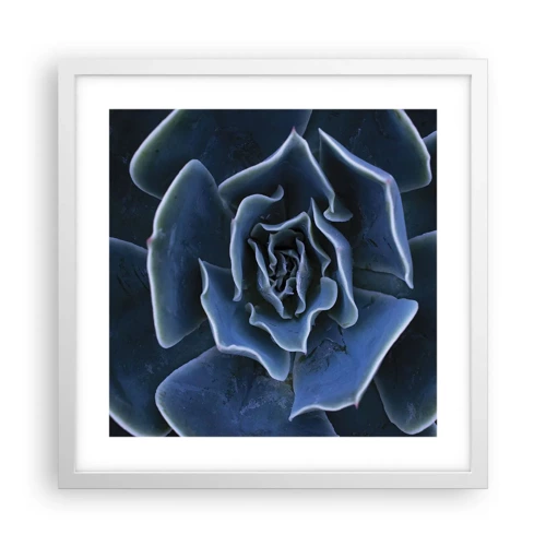 Plagát v bielom ráme - Púštny kvet - 40x40 cm