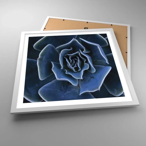 Plagát v bielom ráme - Púštny kvet - 50x50 cm