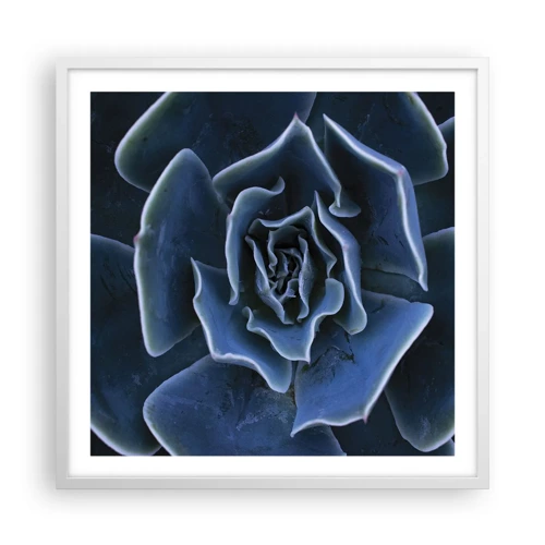 Plagát v bielom ráme - Púštny kvet - 60x60 cm