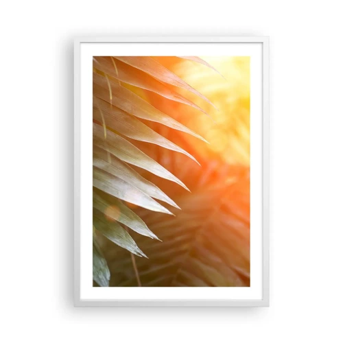 Plagát v bielom ráme - Ráno v džungli - 50x70 cm