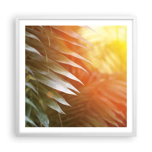 Plagát v bielom ráme - Ráno v džungli - 60x60 cm