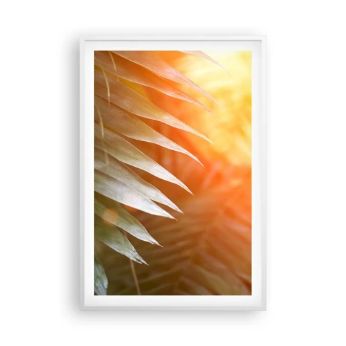 Plagát v bielom ráme - Ráno v džungli - 61x91 cm