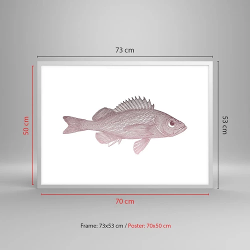 Plagát v bielom ráme - Ryba s veľkými očami - 70x50 cm