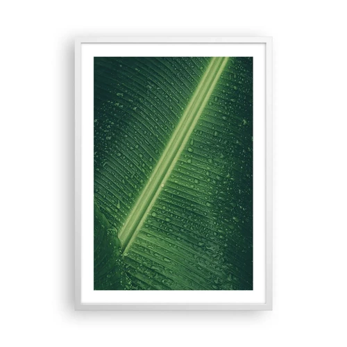 Plagát v bielom ráme - Štruktúra zelenej - 50x70 cm