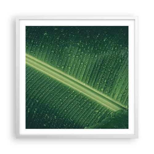 Plagát v bielom ráme - Štruktúra zelenej - 60x60 cm
