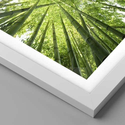 Plagát v bielom ráme - V bambusovom háji - 40x30 cm